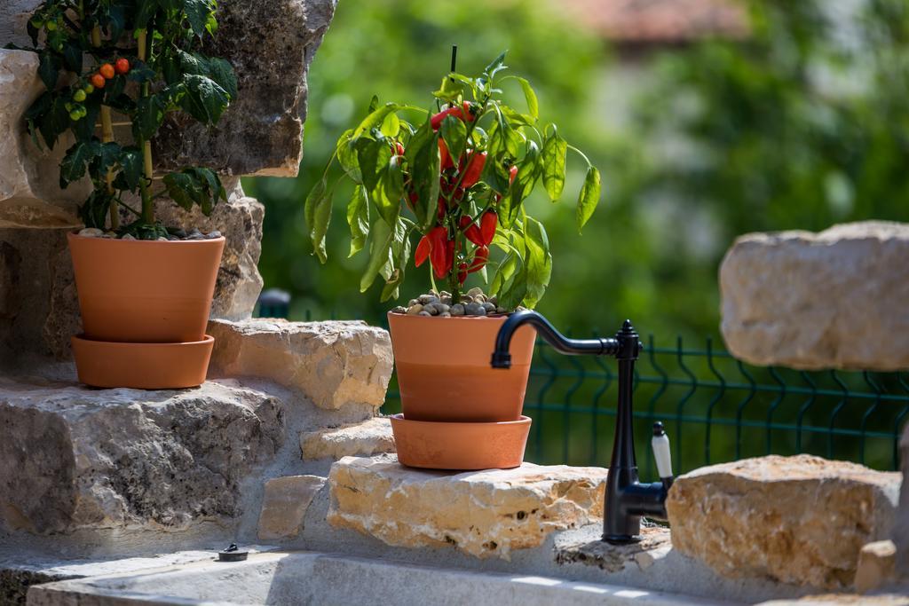 Villa Parenzana Višnjan Dış mekan fotoğraf